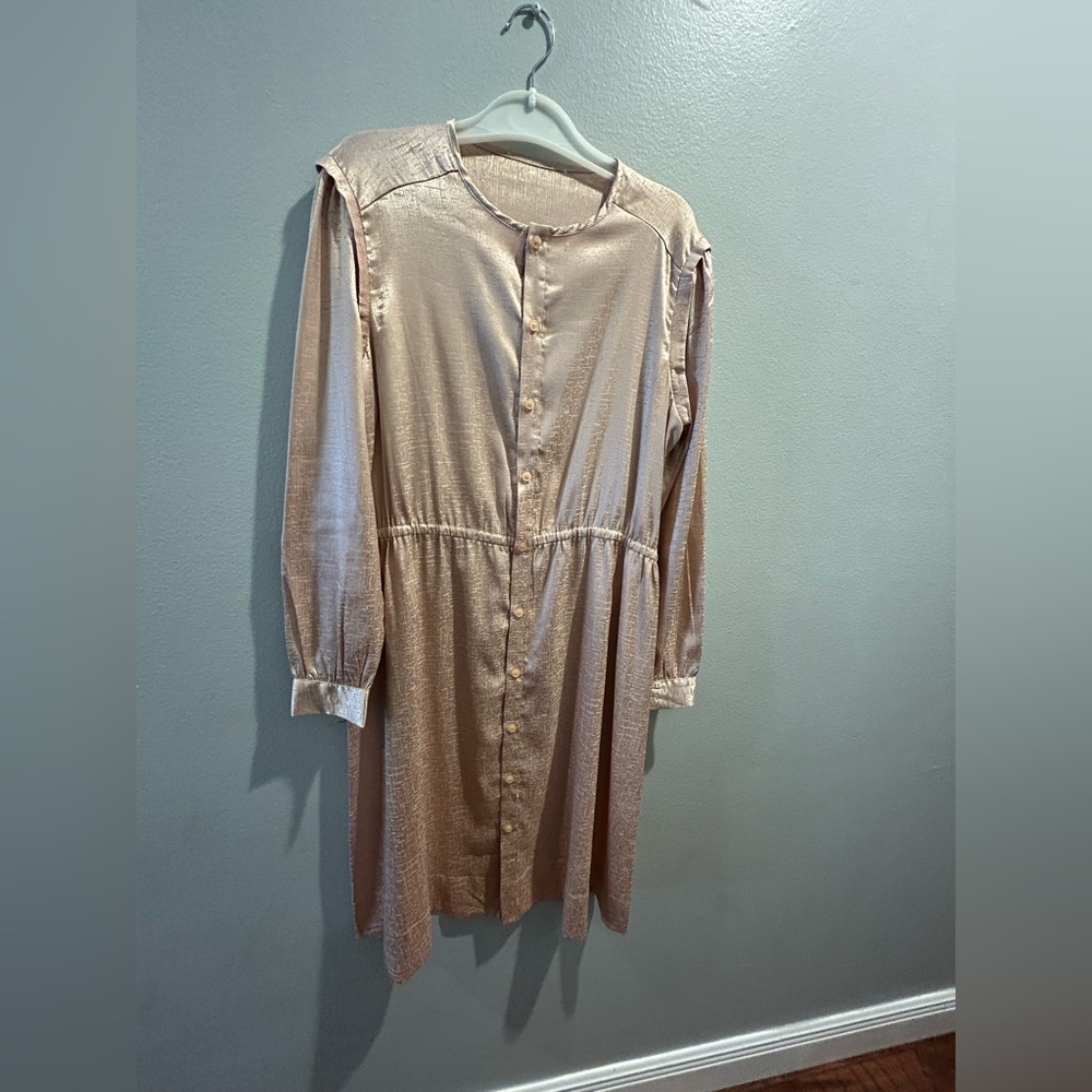 Pink silk Long-Sleeve Dress